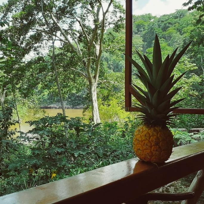 Alma Del Rio Eco-Comfort On The Water San Ignacio Exterior foto