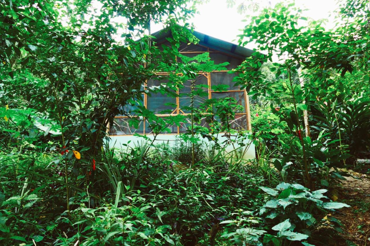 Alma Del Rio Eco-Comfort On The Water San Ignacio Exterior foto